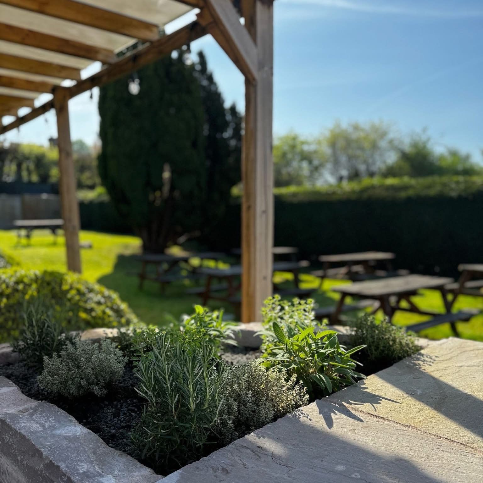 Picnic tables under a wooden pergola, a clipped hedge, and a stone planter of herbs in the foreground.